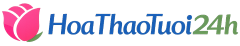 Hoa Thảo Tươi 24H: Đặt Hoa Online Giao Miễn Phí Chỉ Từ 300K